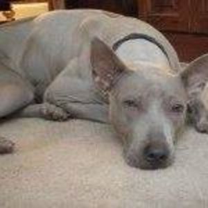 Meet your Posher, Karen